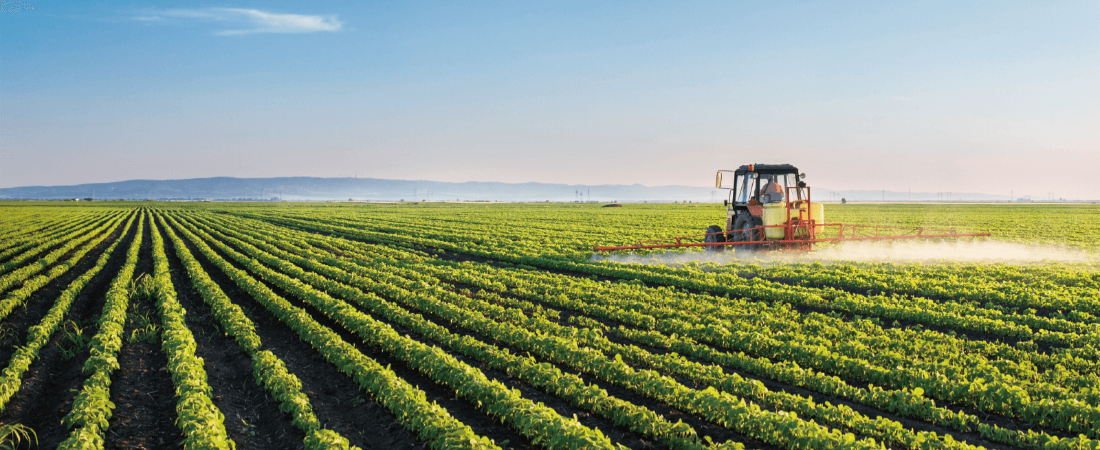 首页|壹定发EDF最新官方网站
